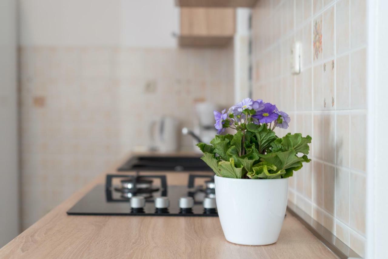 Luxury Apartment With Garden Jacuzzi And Wellness Трогир Экстерьер фото